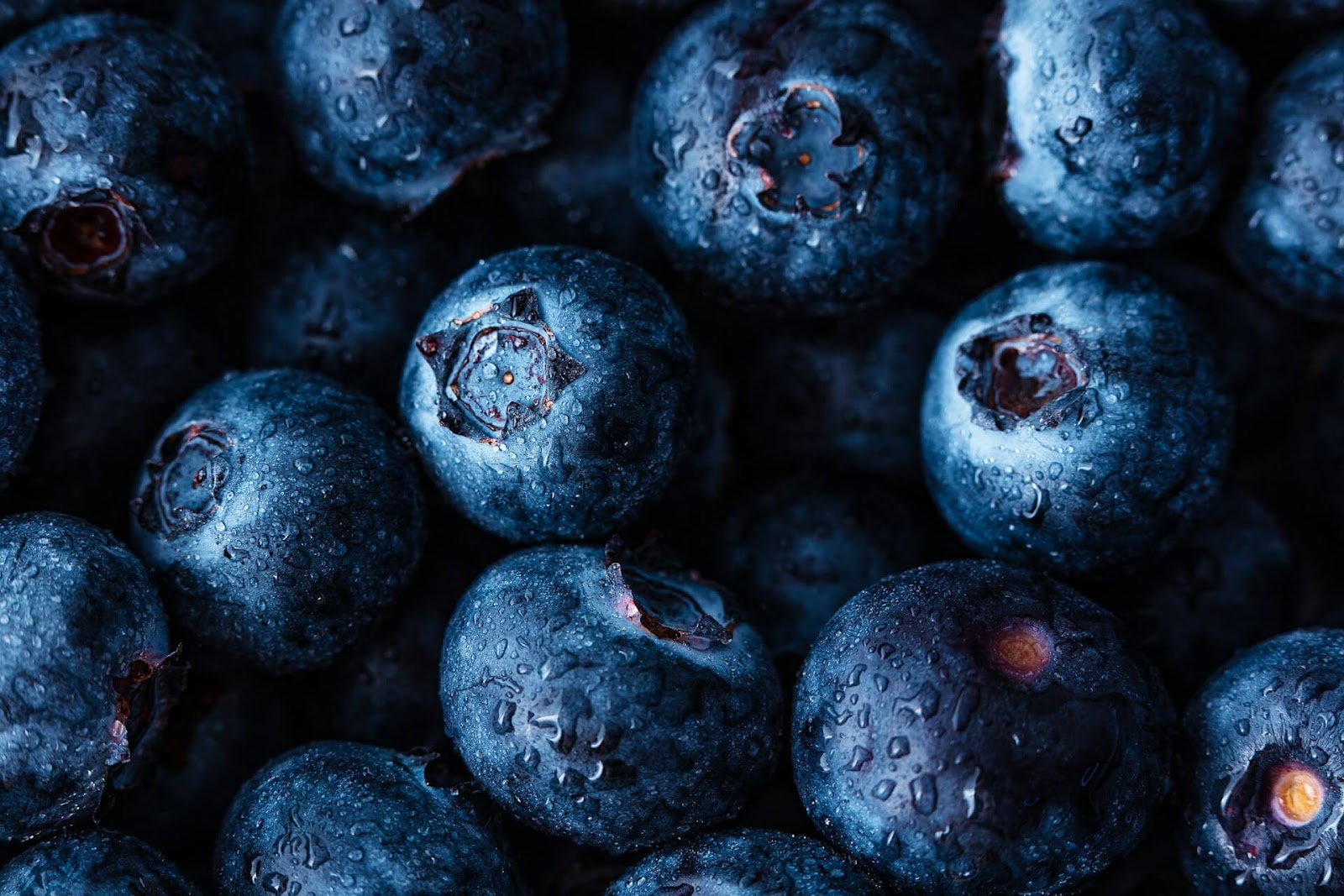 Close-up of fresh, water-dropped blueberries, known for their antioxidant properties and potential benefits in ADHD nutrition.