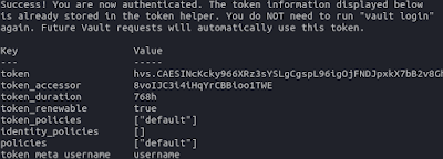 vault login output