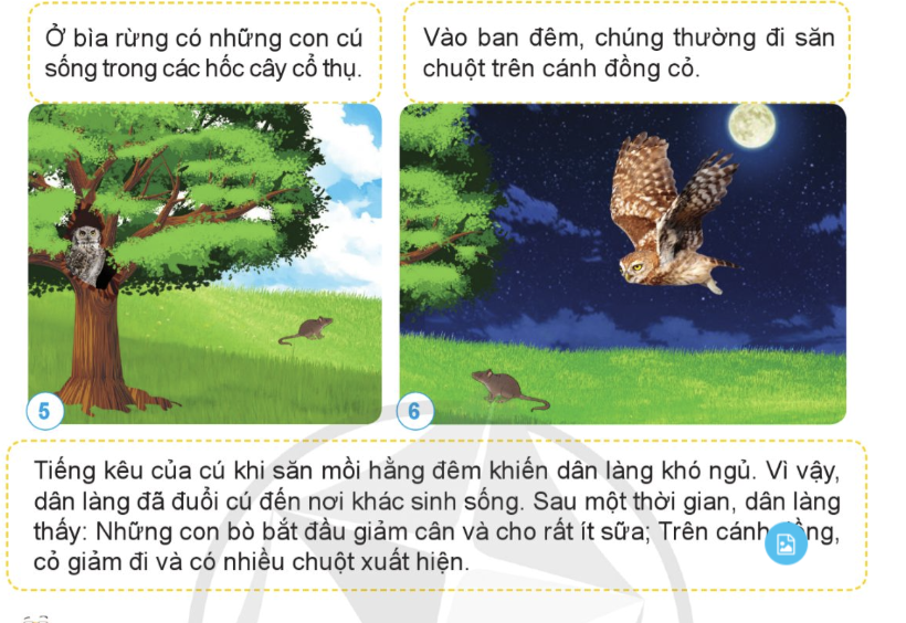 BÀI 23: VAI TRÒ CỦA THỰC VẬT TRONG CHUỖI THỨC ĂN