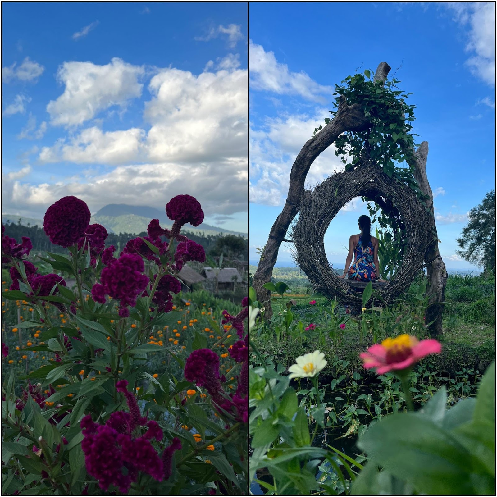farm in  with exotic flowers and plants 