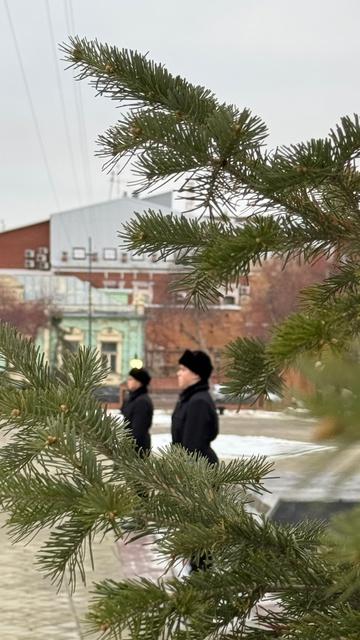 Изображение выглядит как на открытом воздухе, дерево, растение, зима

Автоматически созданное описание