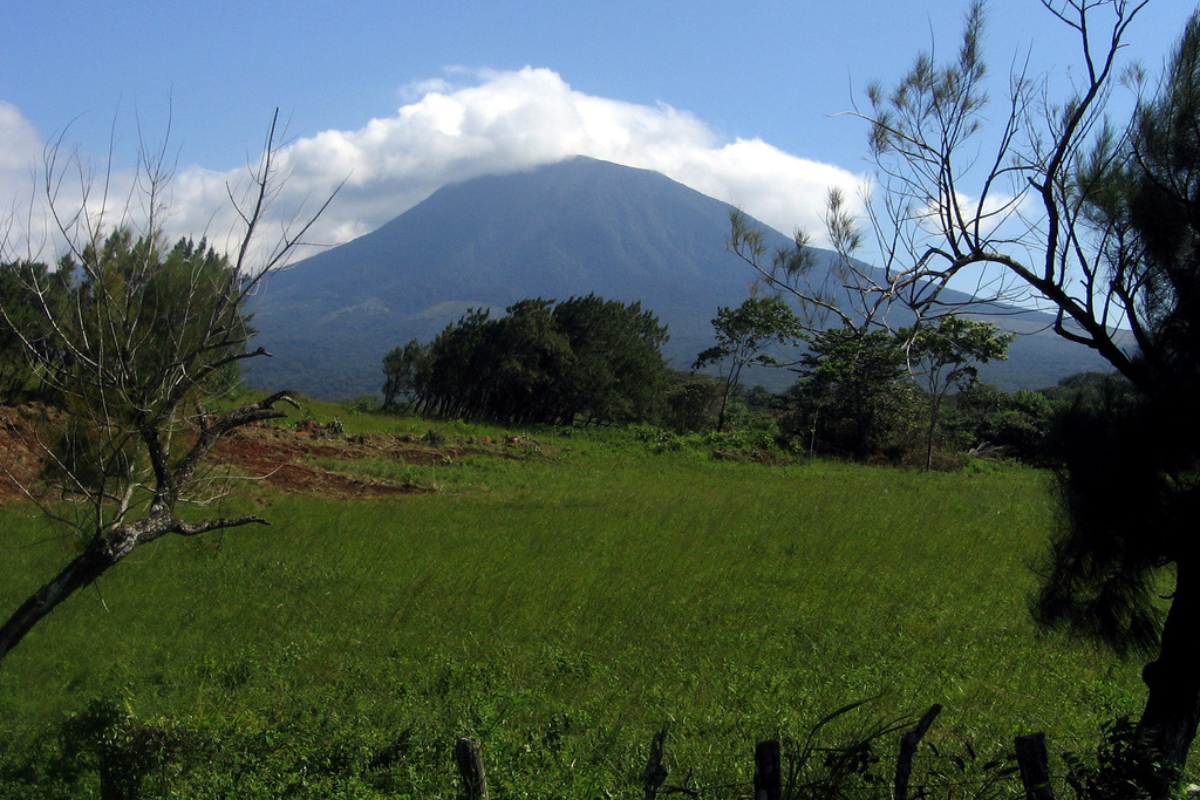 A view to National Park near to Playa Potrero Costa Rica.