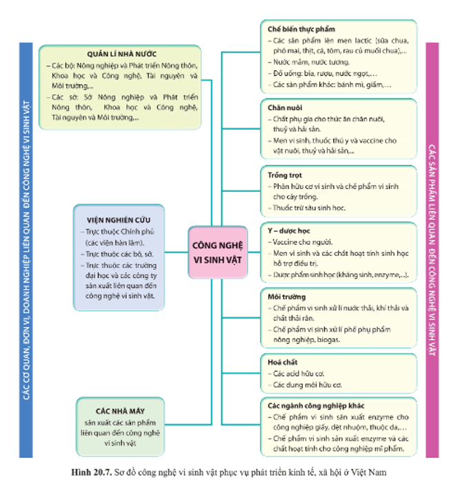 BÀI 20 - THÀNH TỰU CỦA CÔNG NGHỆ VI SINH VẬT VÀ ỨNG DỤNG CỦA VI SINH VẬT