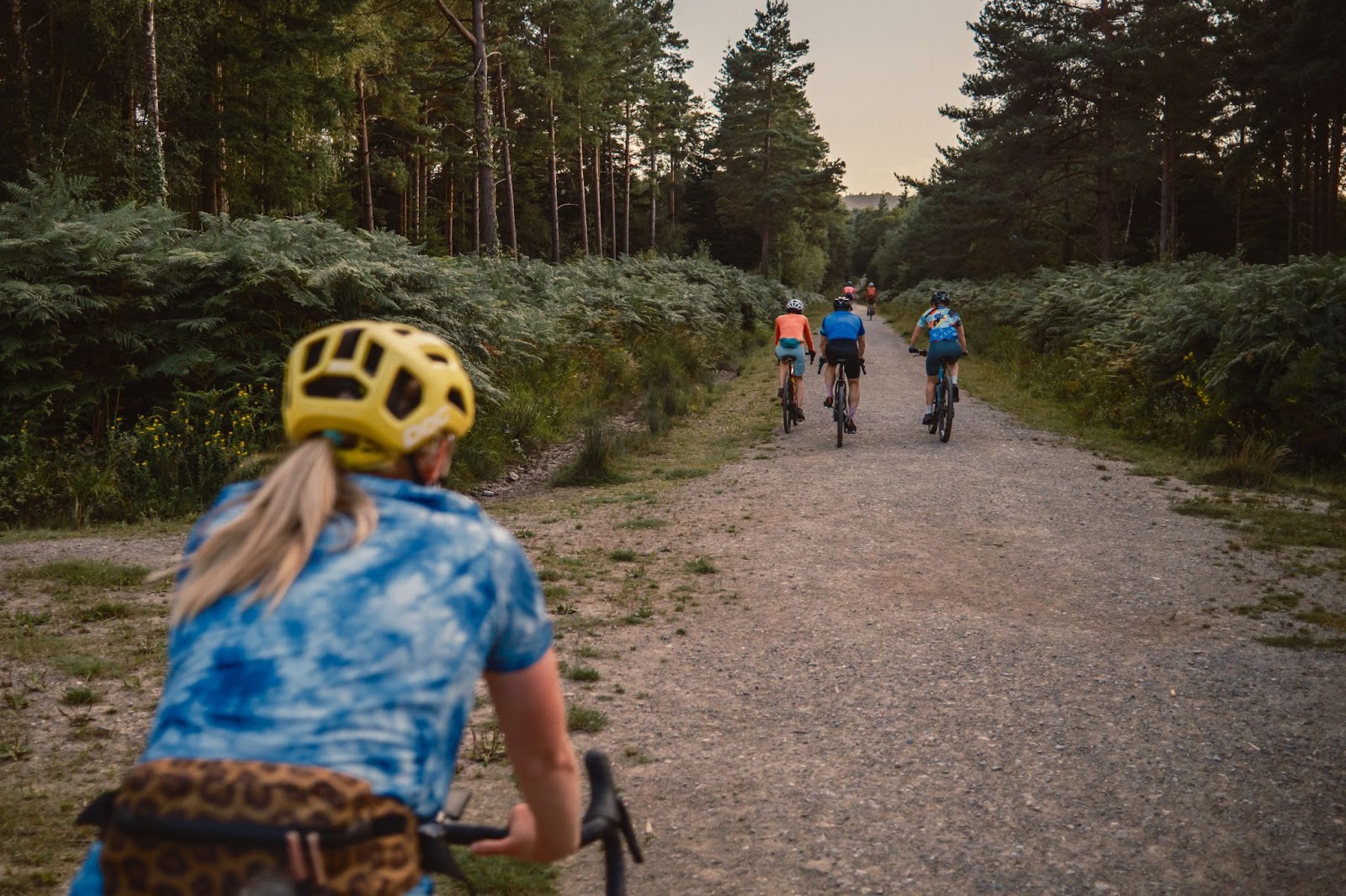 How To Hunt Out The Best Bike Trails Near You