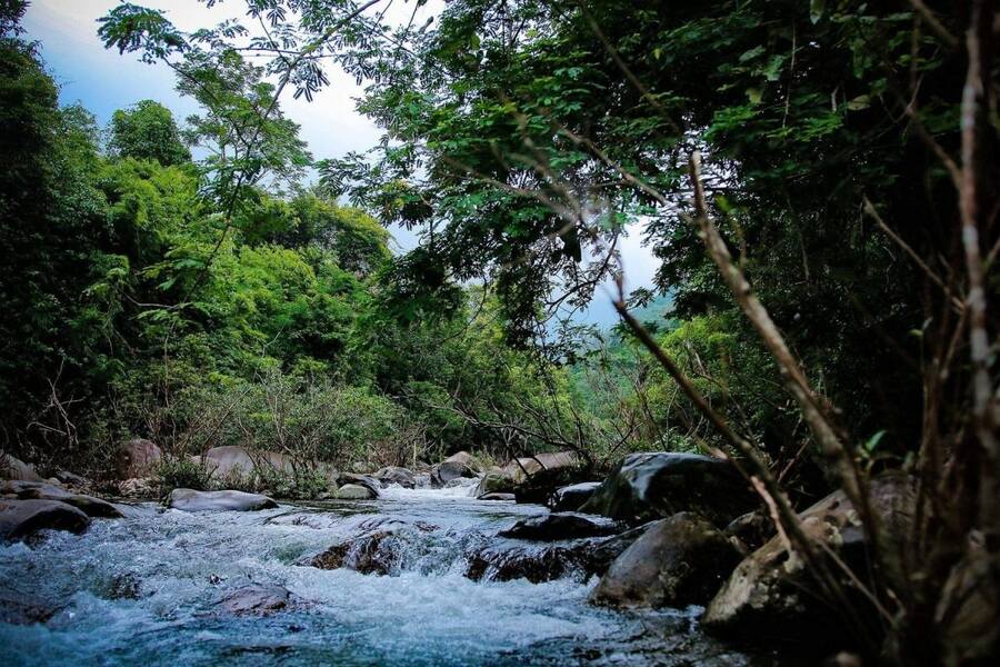 Tam Dao National Park is the ideal choice for picnics and activities of families and groups of friends. Source: Crystal Bay