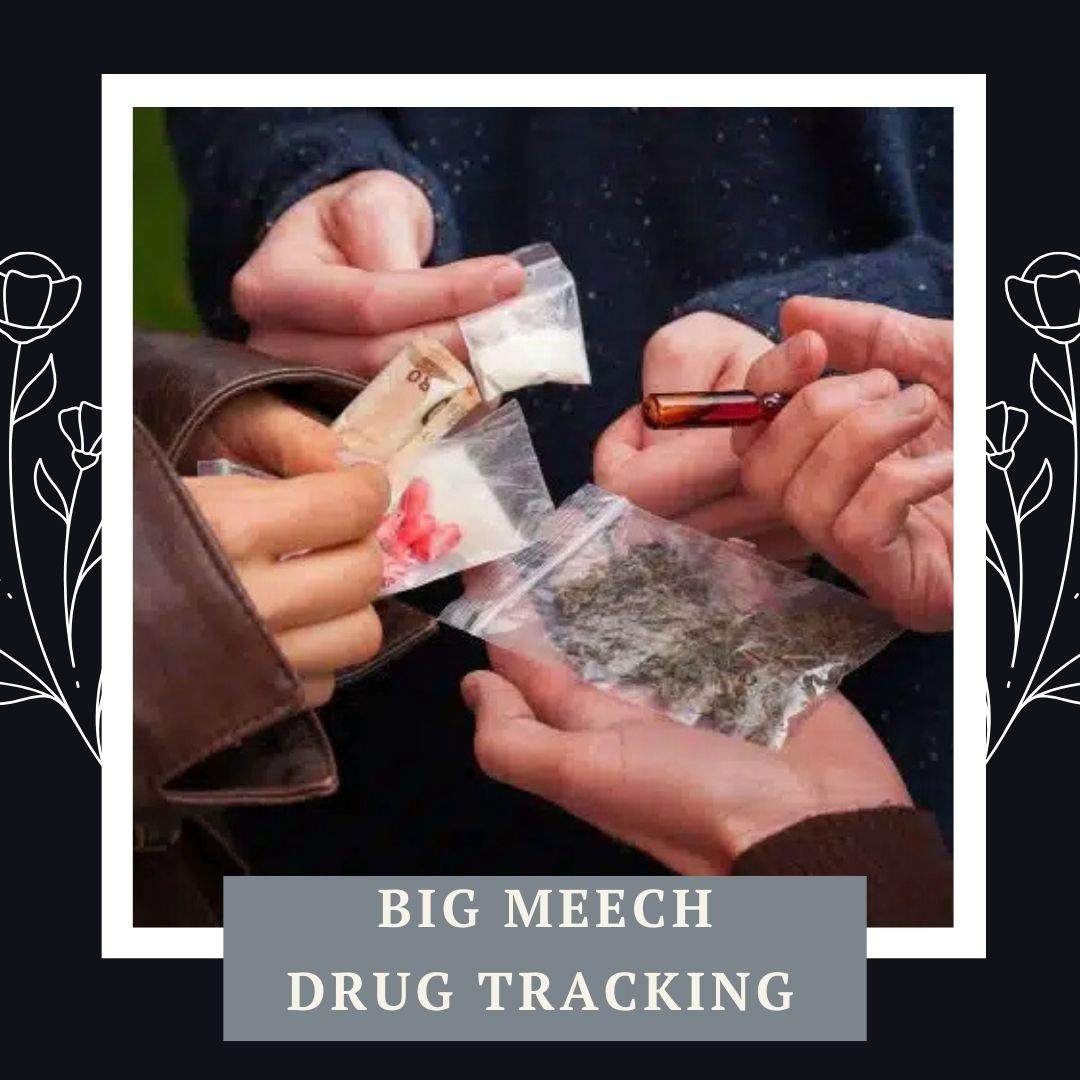 What are Big Meech's main sources of income?