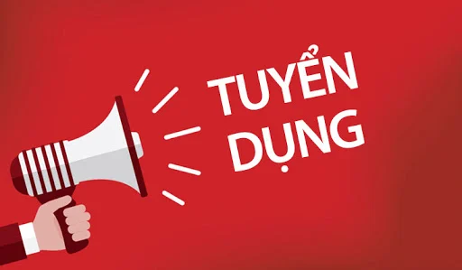 Quyền lợi khi ứng tuyển