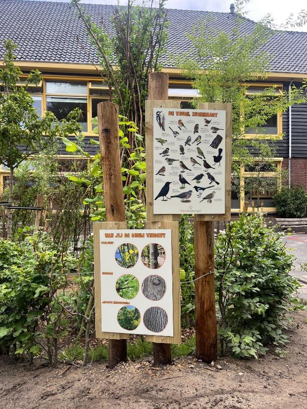 Afbeelding met buitenshuis, plant, boom, gebouw

Door AI gegenereerde inhoud is mogelijk onjuist.