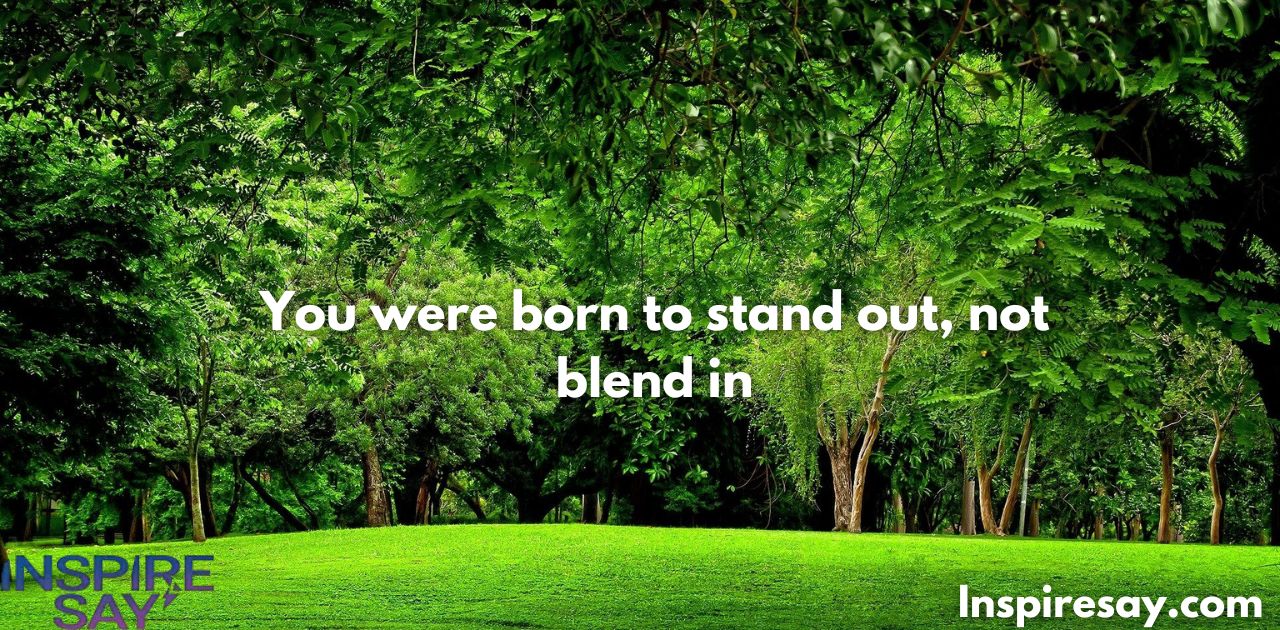 You were born to stand out, not blend in