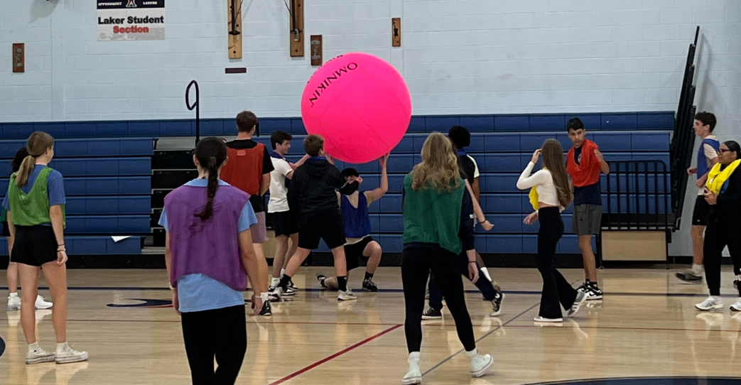 image of students playing Kin Ball in the gym