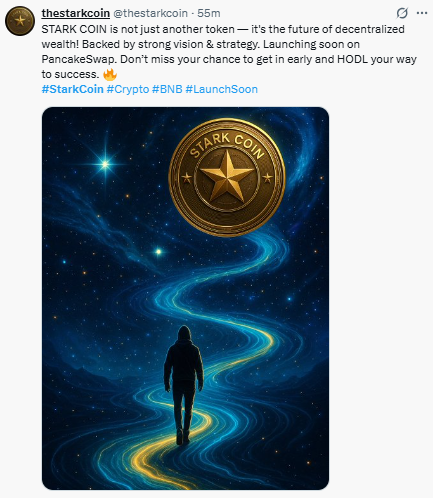 STARK COIN listing on PancakeSwap, क्या निवेश करना चाहिए 