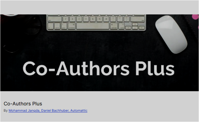 Co-Authors Plus Plugin
