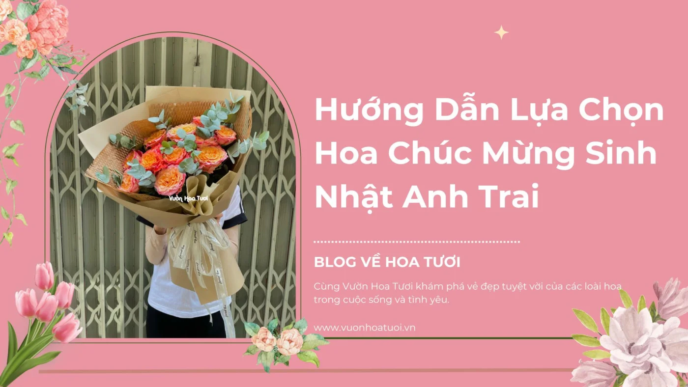 Hướng Dẫn Lựa Chọn Hoa Chúc Mừng Sinh Nhật Anh Trai AD_4nXemTHIeLSOBDhX_7n_yG7exDmbN2e67x7ZWBdzaTrHP12L4D7FgU5Fxgf-vwufVPTL2UN9dGFQgeP__H8fU3g8HnUkPZokAM_j4wqfOp8jmeimXX5sgIz4-FIe107sNliEdsRq7rh4T-JUa64N3-l0ZlaQE?key=hUOoMkY2ImeQ2YeWBLD6VA