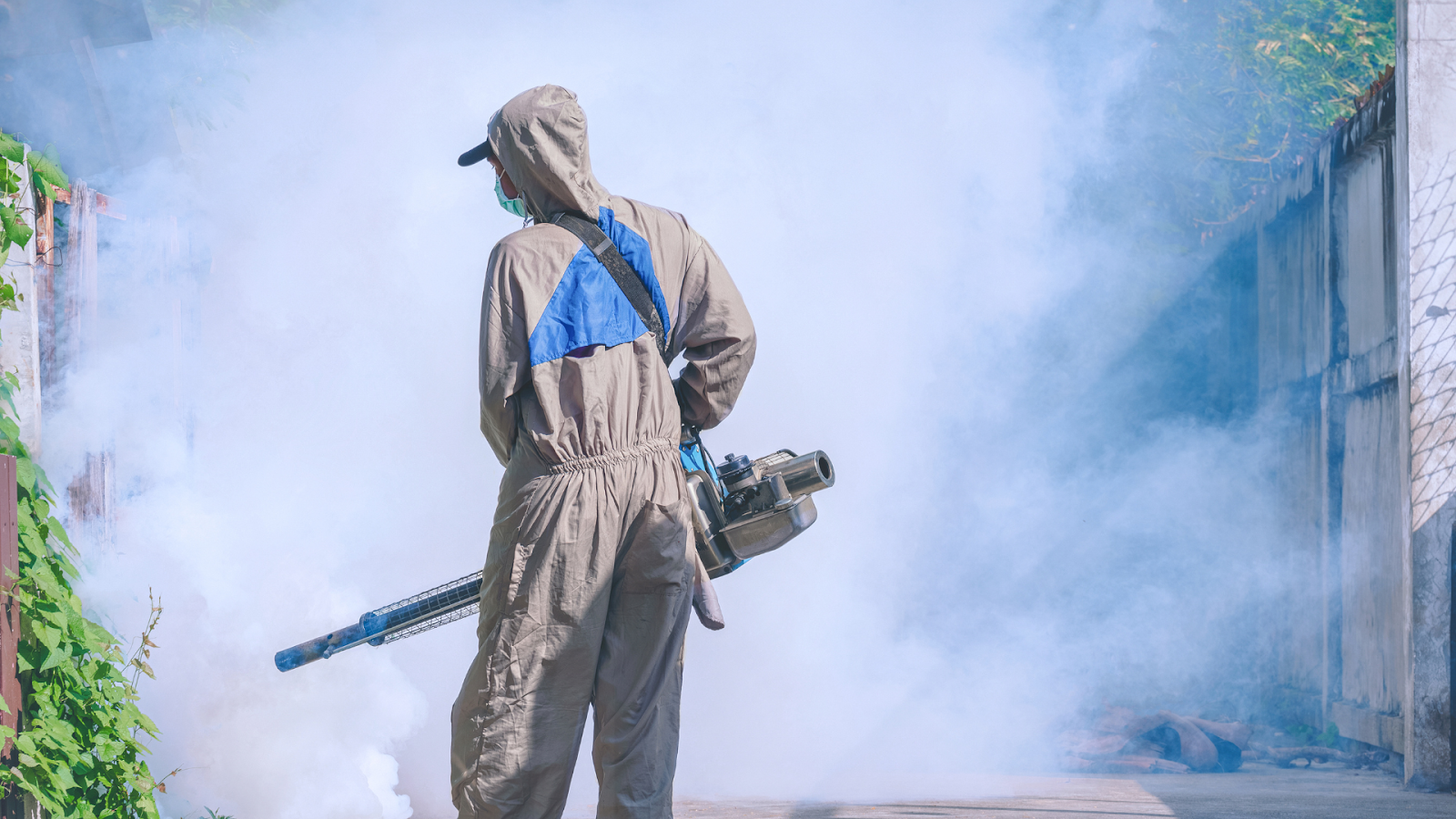Fumigation For Termite