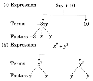 Algebraic Expressions Class 7 Extra Questions Maths Chapter 12 Q5