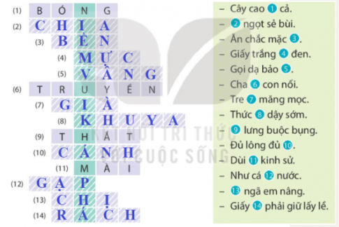 TIẾT 3-4