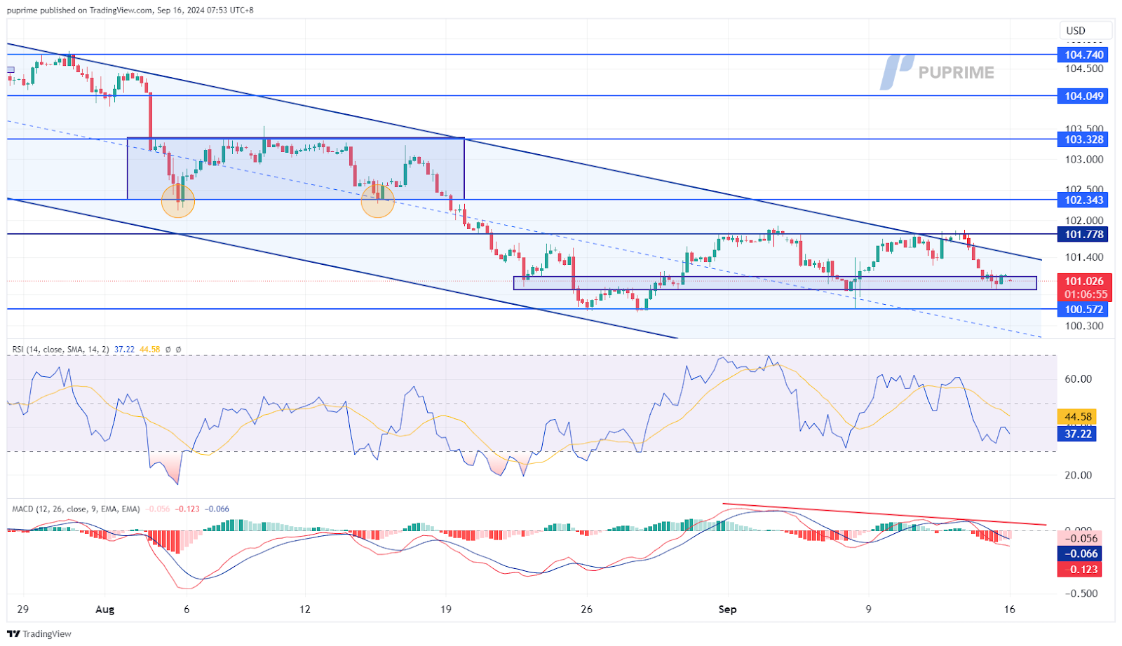 dollar index dxy price chart 16 September 2024