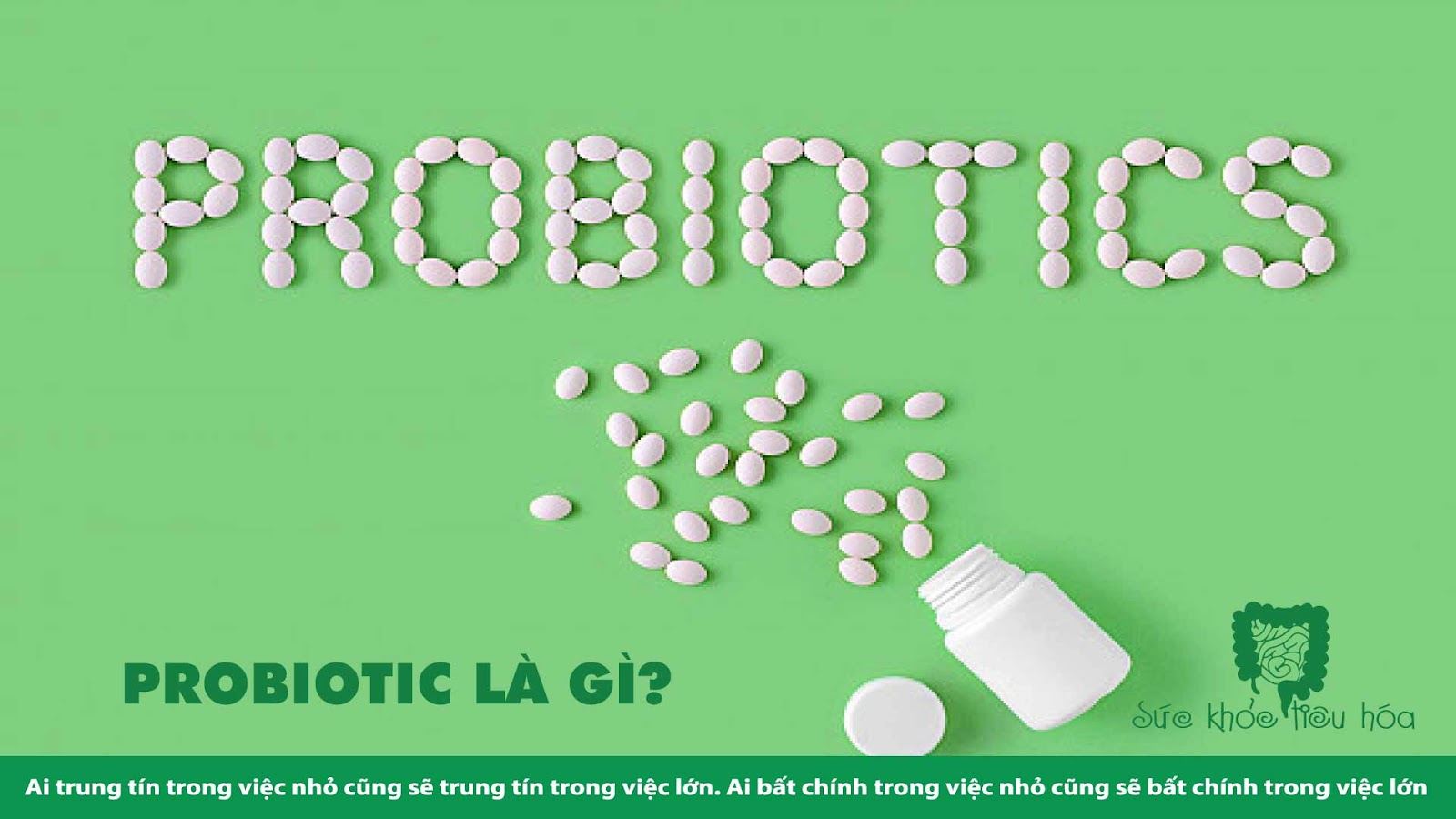 NHỮNG HIỂU BIẾT THƯỜNG THỨC VỀ PROBIOTICS Ở  HOA KỲ