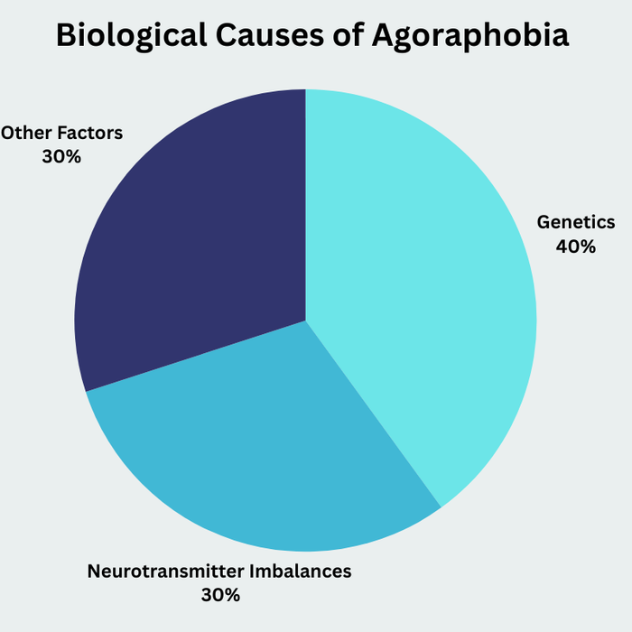 Pie chart showing biological causes of agoraphobia: genetics 40%, neurotransmitter imbalance 30%, others 30%.