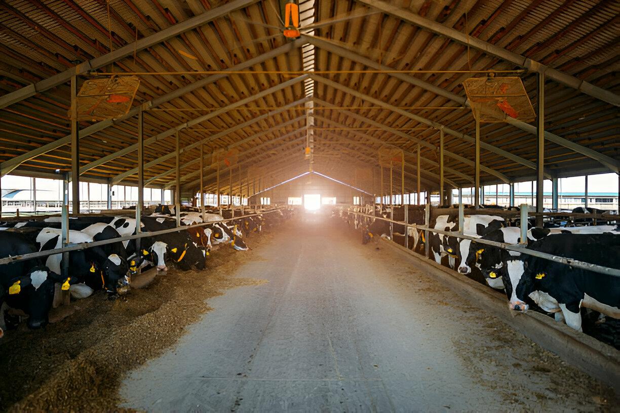 farm sheds