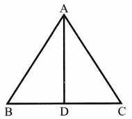 CBSE Class 6 Maths Basic Geometrical Ideas Worksheets 6