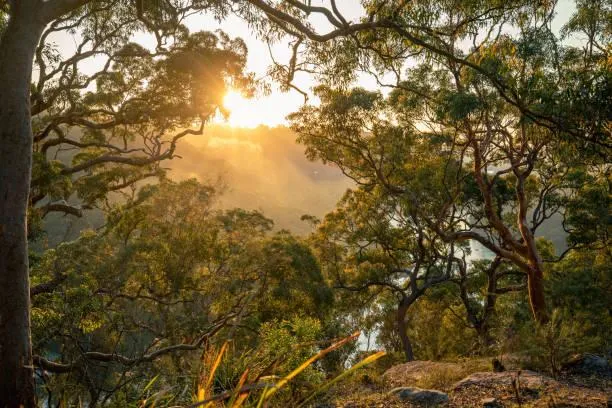 20 Nature Photos That Feel Like Poetry, poetic nature, emotional landscapes, nature, forest, landscape, lyrical beauty, calm expression