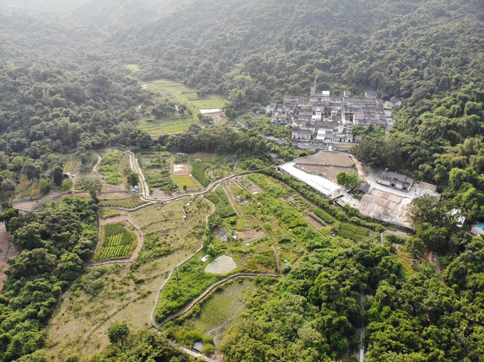 LoCOFARMS 荔枝窩以及附近的農地, Echo Asia Communications