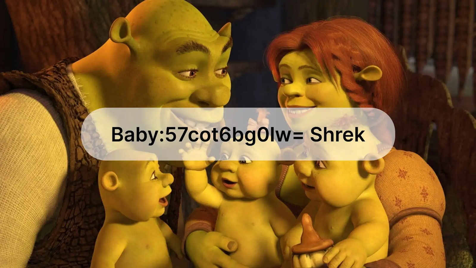 Baby:57cot6bg0lw= Shrek
