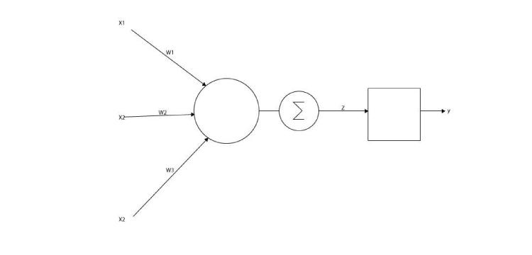 Basic Neural Network Structure