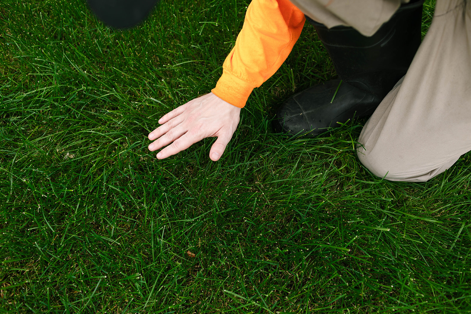 Take Good Care of Your Lawn