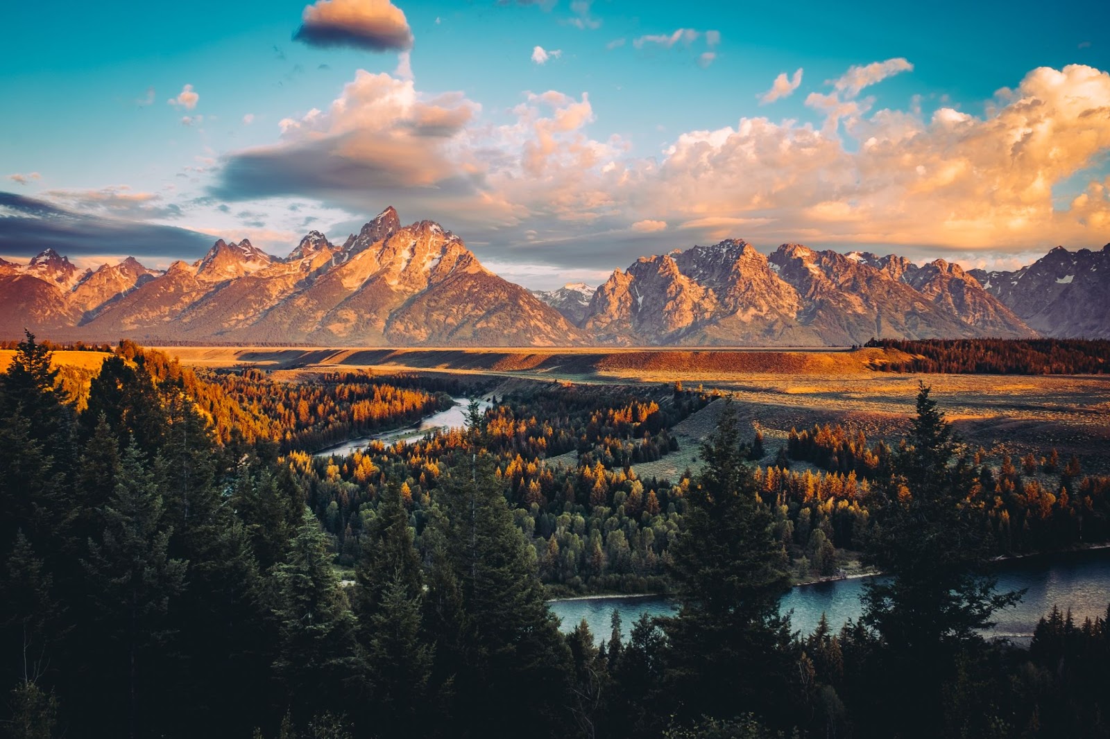 Photo Credit: Kankankavee / Adobe Stock