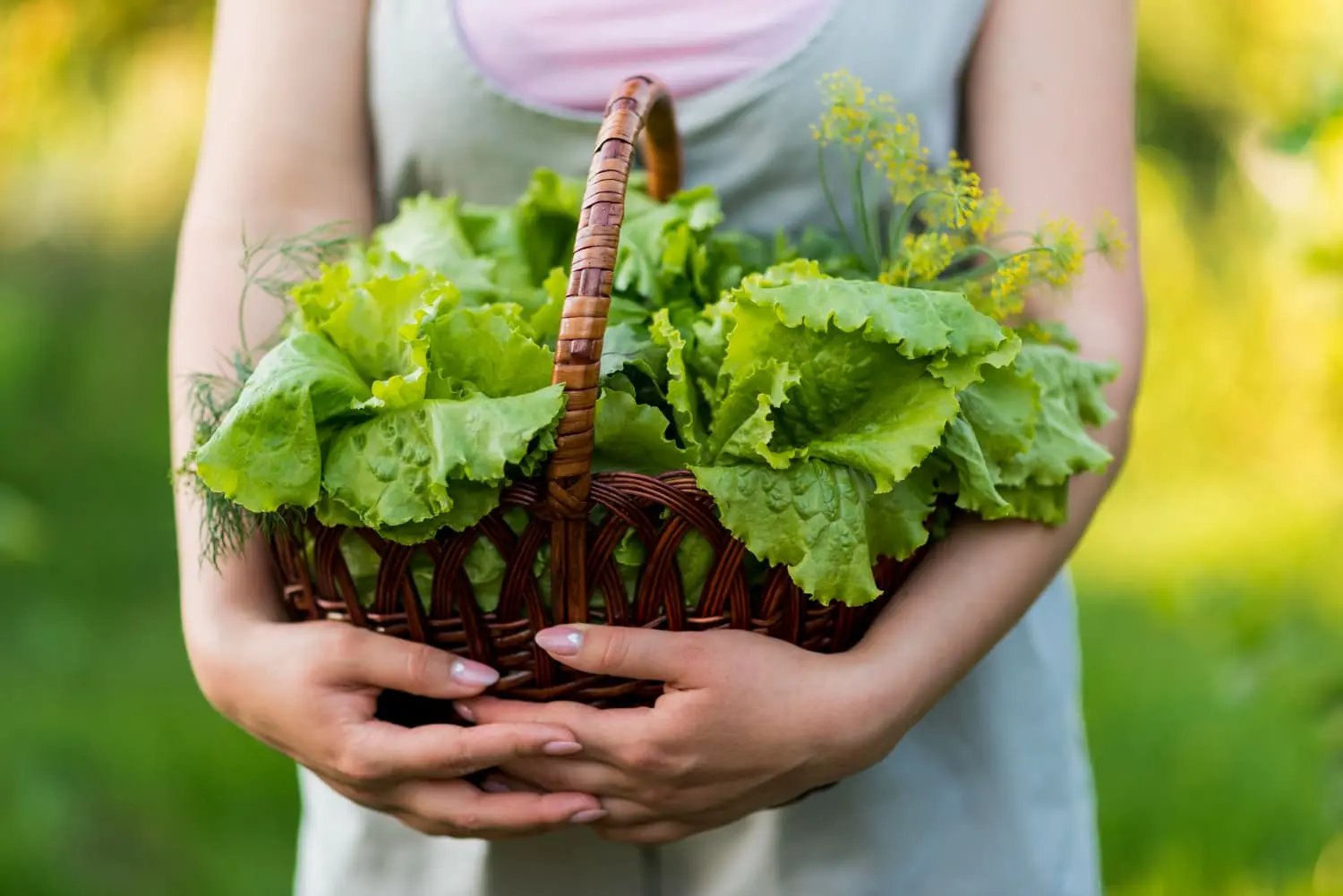 Impact of Fertilizers on the Nitrogen Cycle