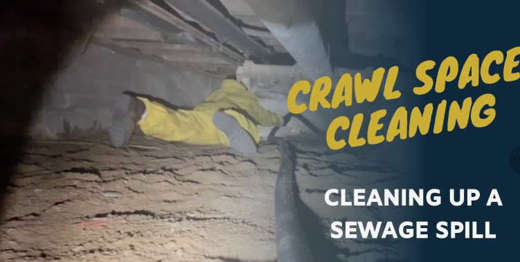 Crawl Space Care