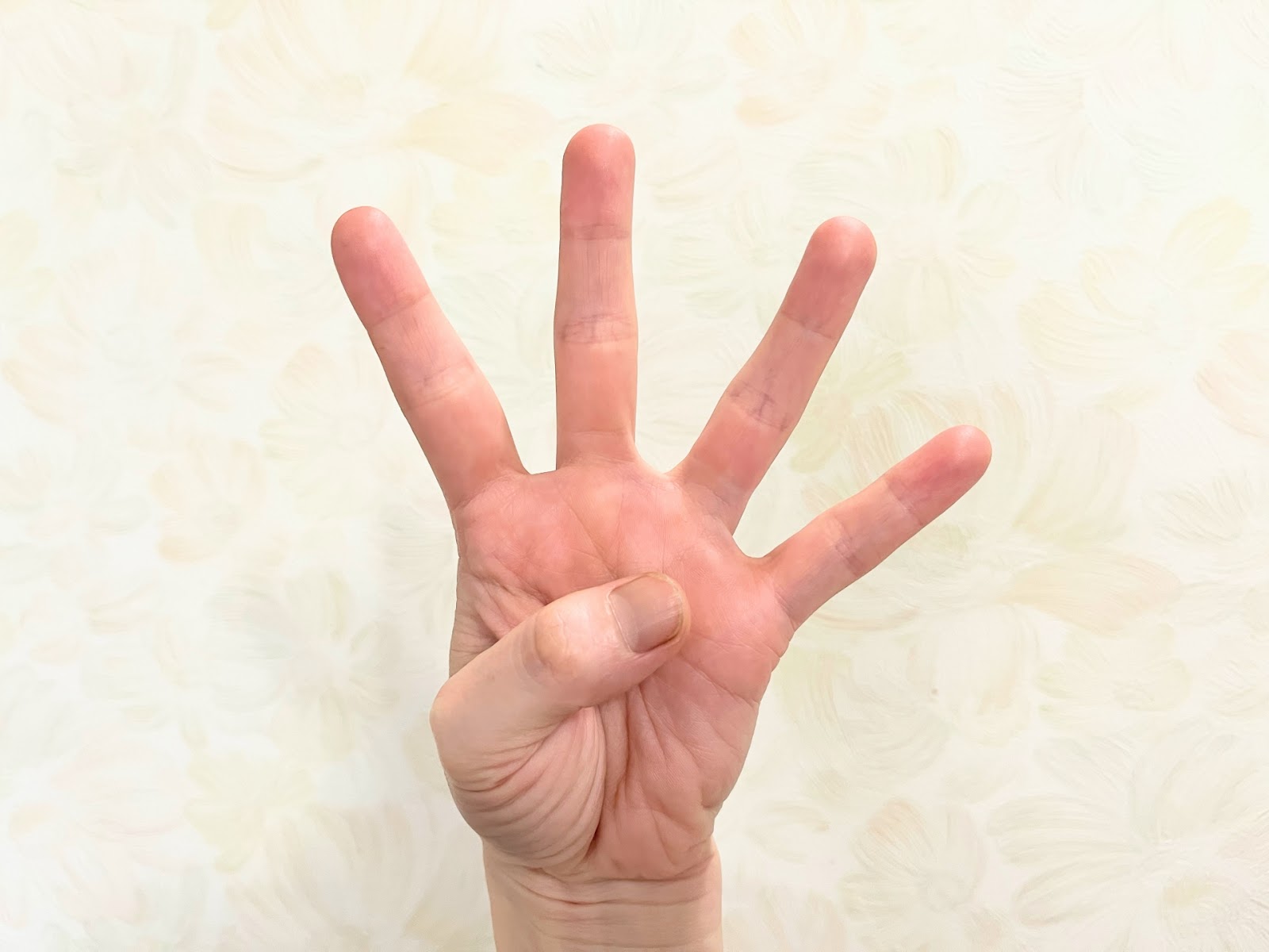 4選を表す画像。