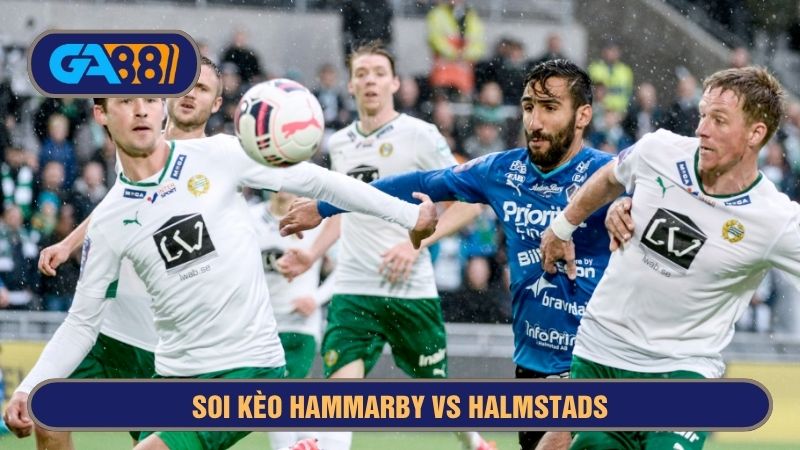 Hammarby vs Halmstads là cặp đấu luôn gây ra nhiều tranh cãi