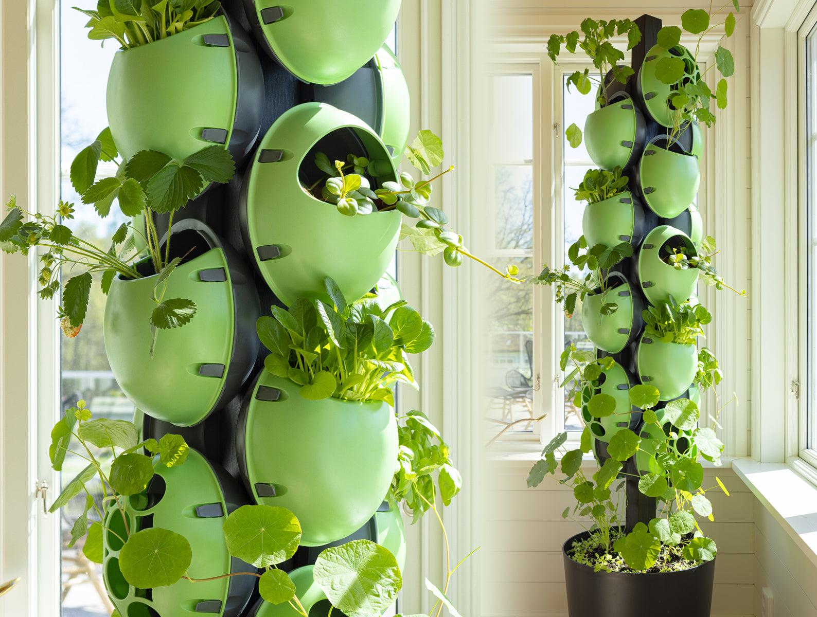 Eggologic Tower Garden