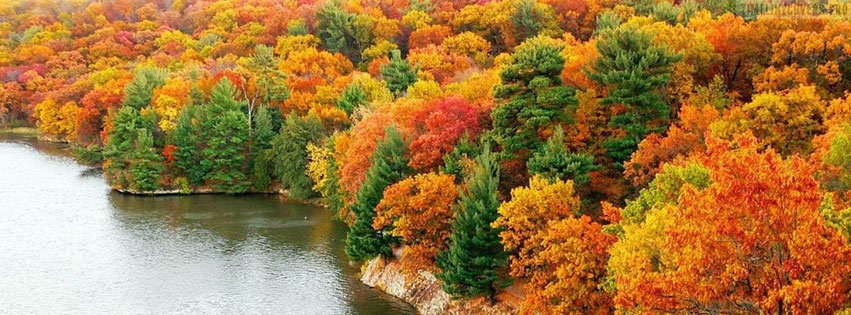 view of the lakeside with colourful autumn treetops