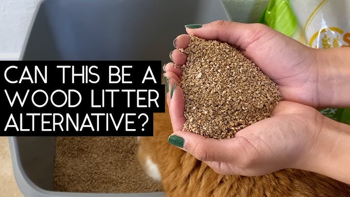 Sweet Scoop Cat Litter: The Ultimate Solution for Odor Control