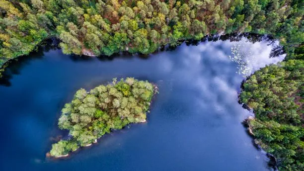 From Mountains to Forests: 20 Stunning Vistas, mountain photos, forest landscapes, nature, landscape, nature variety, wide scenery