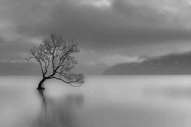 18 Nature Photos That Inspire Solitude, solitude in nature, quiet moments, nature, forest, landscape, peaceful alone time, nature escape