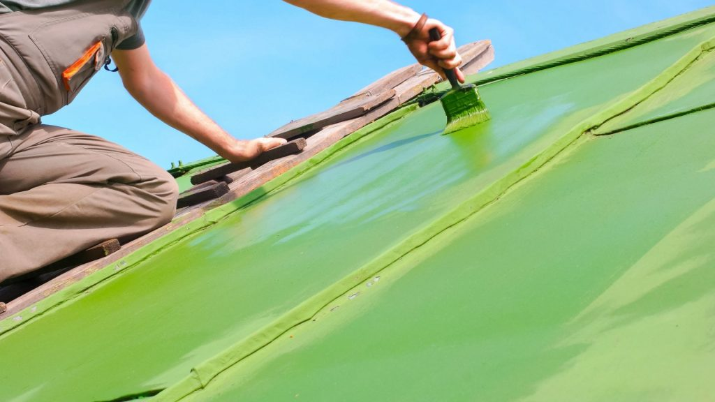 Eco-Friendly Roof Painting Options for Residents