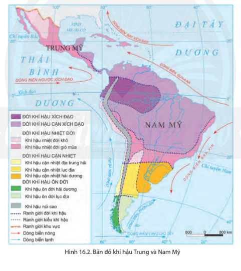 BÀI 16: THIÊN NHIÊN TRUNG VÀ NAM MỸ  Phân hóa tự nhiên theo chiều đông - tâyCâu hỏi: Quan sát hình 16.1 và đọc thông tin trong bài, em hãy trình bày sự phân hoá theo chiều đông - tây của tự nhiên khu vực Trung và Nam Mỹ.Giải nhanh:Ở Trung Mỹ, các sườn núi phía đông và các quần đảo có mưa nhiều, rừng rậm nhiệt đới phủ kín. Còn các sườn núi phía tây thì mưa ít hơn, phát triển xavan và rừng thưa, cây bụi.Ở Nam Mỹ, phân bố địa hình theo hướng đông - tây rất rõ nét:- Phía đông là các sơn nguyên:  - Sơn nguyên Guy-a-na: khí hậu nóng ẩm, rừng rậm rạp.  - Sơn nguyên Bra-xin: đất tốt nhưng khí hậu khô hạn hơn, cảnh quan rừng thưa và xavan chủ yếu.- Ở giữa là các đồng bằng:  - Đồng bằng A-ma-dôn: rộng và bằng phẳng nhất thế giới, rừng rậm bao phủ do mưa quanh năm.  - Các đồng bằng khác có mưa ít, phát triển chủ yếu là xavan và cây bụi.- Phía tây là miền núi trẻ An-đét, gồm nhiều dãy núi song song, thung lũng và cao nguyên xen kẽ, với cảnh quan khác biệt giữa sườn đông và sườn tây.Phân hóa tự nhiên theo chiều bắc - namCâu hỏi: Quan sát hình 16.2 và đọc thông tin trong bài, em hãy trình bày sự phân hoá tự nhiên của khu vực Trung và Nam Mỹ theo chiếu bắc - nam.Giải nhanh:Thiên nhiên Trung và Nam Mỹ phân hoá đa dạng theo chiều bắc - nam, có các đới khí hậu khác nhau:- Đới khí hậu xích đạo và cận xích đạo: + Phân bố: quần đảo Ăng-ti, Sơn nguyên Guy-a-na, đồng bằng La-nốt và A-ma-dôn.  + Khí hậu: nóng quanh năm, mưa nhiều hơn từ tây sang đông.  + Cảnh quan: chủ yếu là rừng nhiệt đới ẩm và xavan.- Đới khí hậu nhiệt đới:  + Phân bố: Trung Mỹ và khu vực chí tuyến Nam lục địa Nam Mỹ.  + Khí hậu: nóng quanh năm, mưa tăng từ tây sang đông.  + Cảnh quan: từ hoang mạc, cây bụi đến rừng nhiệt đới ẩm và xavan.- Đới khí hậu cận nhiệt:  + Phân bố: phía nam lục địa Nam Mỹ.  + Khí hậu: mùa hạ nóng, mùa đông ấm.  + Cảnh quan:    - Ven biển phía đông: rừng cận nhiệt và thảo nguyên rừng.  - Ven biển phía tây: hoang mạc và bán hoang mạc.- Đới khí hậu ôn đới: + Phân bố: phần cực nam lục địa Nam Mỹ.  + Khí hậu: mùa hạ mát, mùa đông không quá lạnh.  + Cảnh quan:   Vùng mưa nhiều: rừng hỗn hợp.   Vùng mưa ít: hoang mạc và bán hoang mạc.Phân hóa tự nhiên theo chiều caoCâu hỏi: Quan sát hình 16.3 và đọc thông tin trong bài, em hãy trình bày sự phân hoá tự nhiên theo chiều cao của dãy núi An-đét.Giải nhanh:Sự phân hoá tự nhiên theo chiều cao của dãy núi An-đét:- Ở dưới thấp:  + Vùng Bắc và Trung An-đét: Khí hậu nóng ẩm, rừng xích đạo xanh quanh năm.  + Vùng Nam An-đét: Khí hậu ôn hoà, rừng cận nhiệt và ôn đới phát triển. - Càng lên cao, nhiệt độ và độ ẩm thay đổi, cảnh quan tự nhiên chuyển từ rừng xích đạo xuống rừng cận nhiệt và ôn đới, cuối cùng là băng tuyết trên đỉnh núi.Luyện tập – Vận dụng