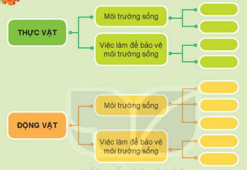 BÀI 20. ÔN TẬP CHỦ ĐỀ THỰC VẬT VÀ ĐỘNG VẬT