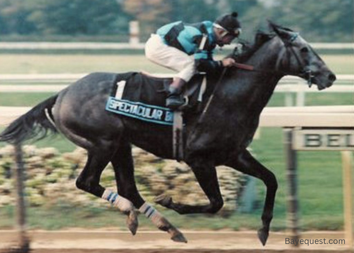 Best Race Horse of All Time