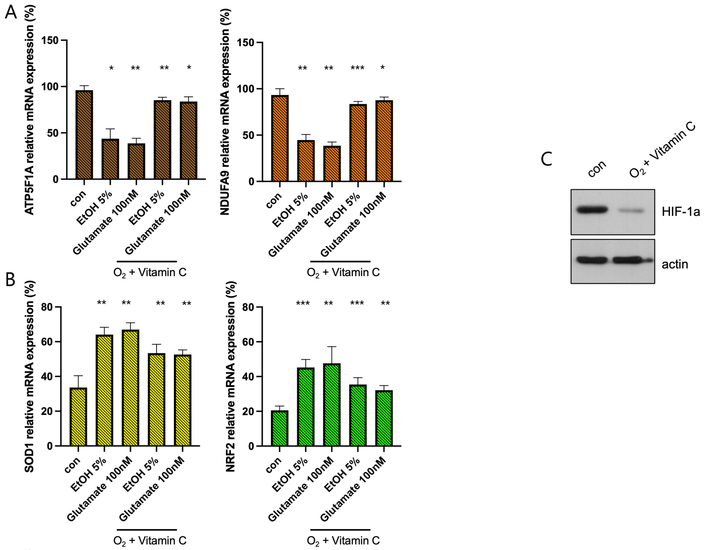A group of graphs showing different types of dna

AI-generated content may be incorrect.