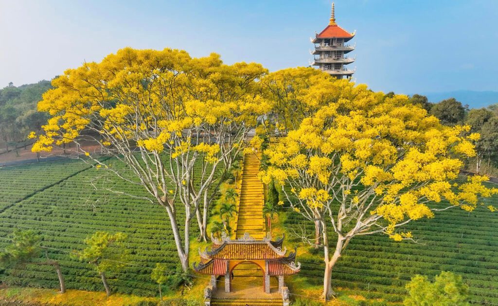 Du lịch Bảo Lộc tự túc - Vẻ đẹp tu viện Bát Nhã linh thiêng nơi núi rừng