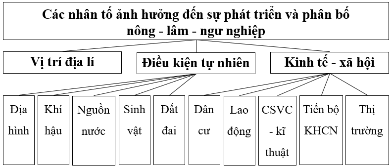 Vẽ sơ đồ thể hiện các nhân tố ảnh hưởng tới sự phát triển và phân bố