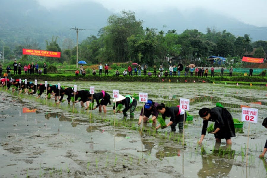 Lễ hội Lồng Tồng của dân tộc Tày Hà Giang - Lễ hội xuống đồng đặc sắc 2