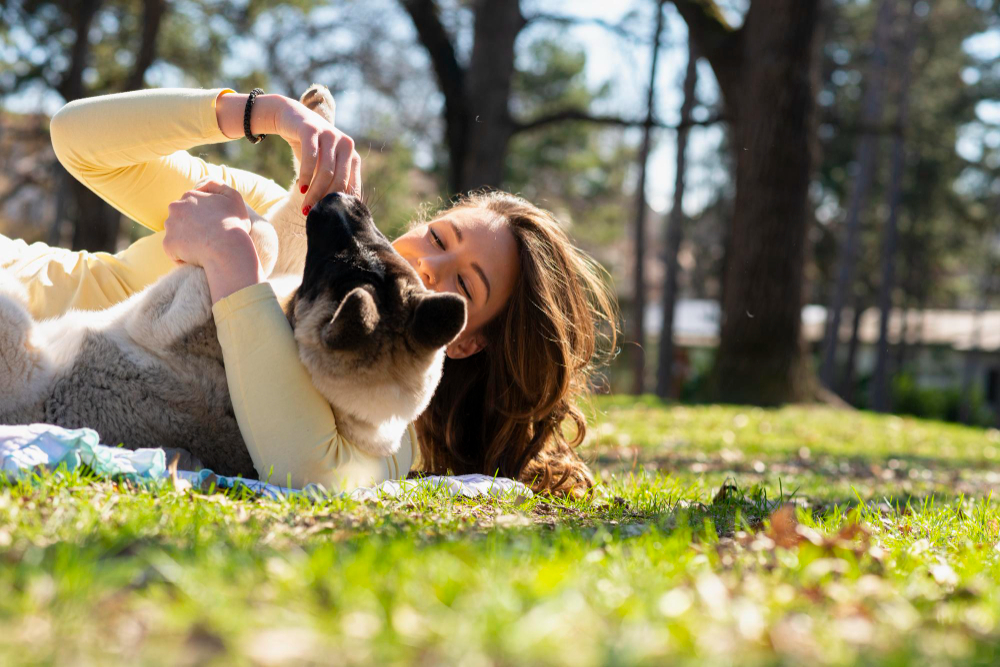 Trusted Dog Boarding Grass Valley Pet Owners Love