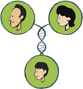 PHẦN 4: VẬT SỐNGCHỦ ĐỀ 11: DI TRUYỀNBÀI 33: GENE LÀ TRUNG TÂM CỦA DI TRUYỀN HỌC